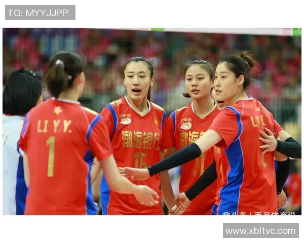 杭州排球队技术表现深度分析与数据解读探讨